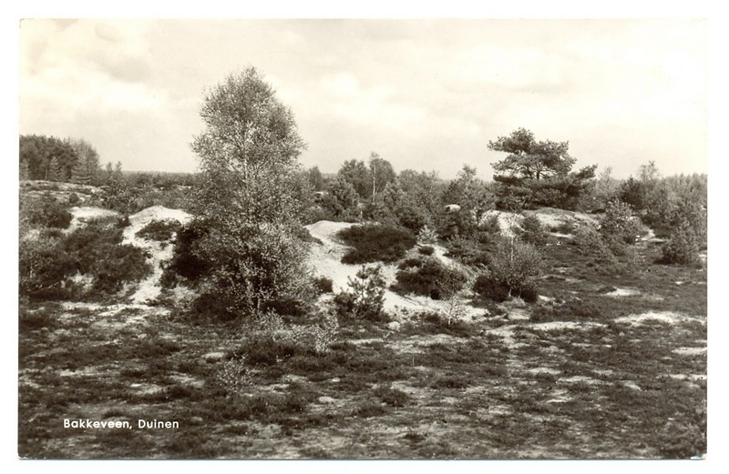 Duinen