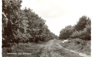 Oude Drentseweg