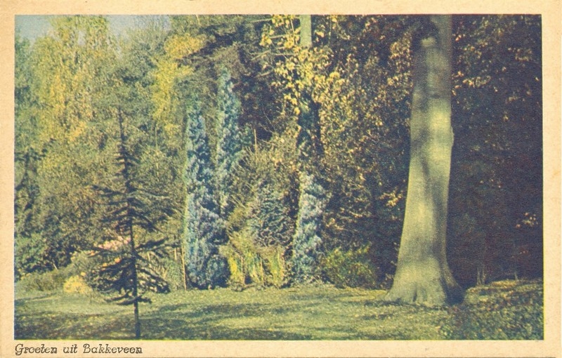 Groeten uit Bakkeveen