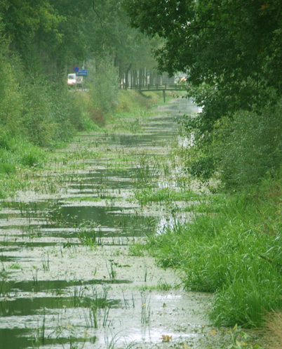 Wetterskip gaat de vaart aanpakken