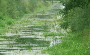 Wetterskip wil gesprek over onderhoud van Bakkeveense vaart