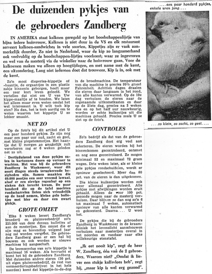 Gebroeders Zandberg ( deel 2 )