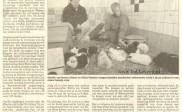 bakkeveen krijgt opvang cavias