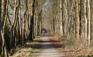 Hannekemaaiers