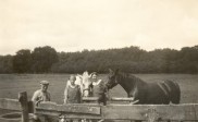 Bij de paarden Van der Meer