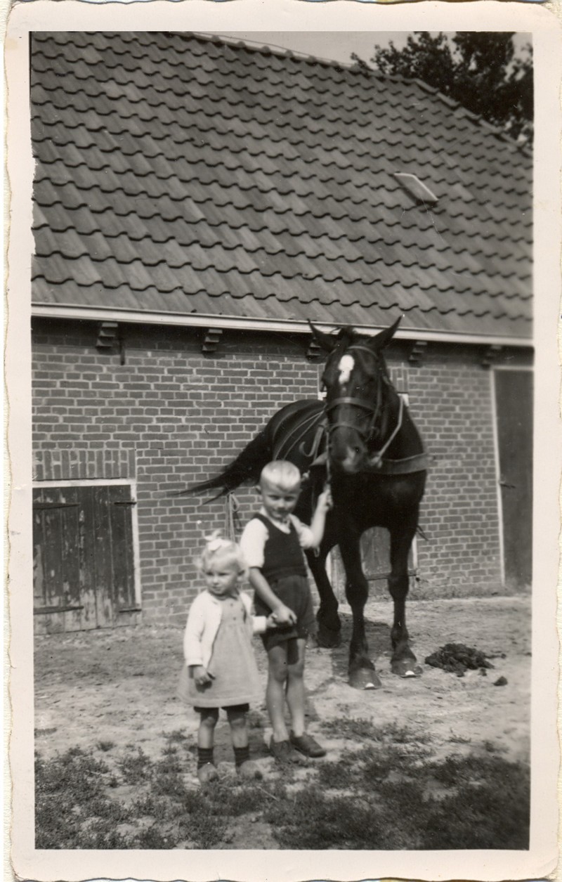 Benedictus: Met het paard op stap