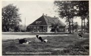 Johanna State