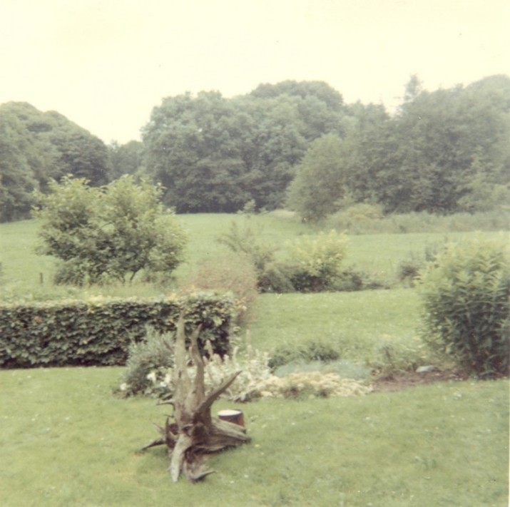 Uitzicht Waldsang