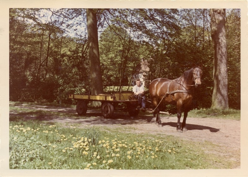 Paard en wagen