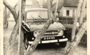Renault tussen de bomen