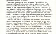 Sterke Ynse