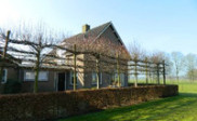 Bungalows & chalets