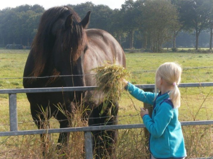 Burendag Tsjerkewal