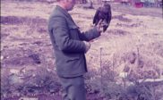 Rinke van der Berg met een buizerd