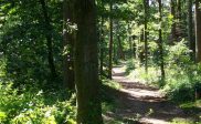Gratis Mindfulness wandeling