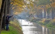 De feestverlichting gaat branden!