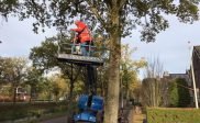 Feestverlichting 2022: Het begin is er!