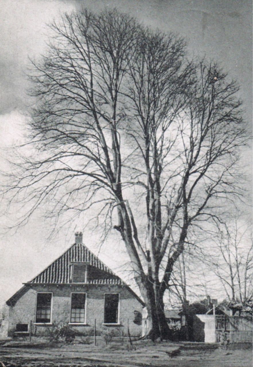 Huis "Het Oog"