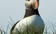 18 april Ledenvergadering Natuerferiening Bakkefean e.o.
