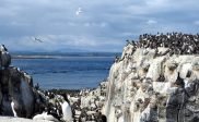 Lezing over de Farne Islands op 18 april