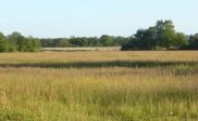 Dinsdag 2 mei excursie naar Wijnjeterper Schar