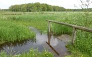 Excursie Fochteloërveen 9 mei a.s.