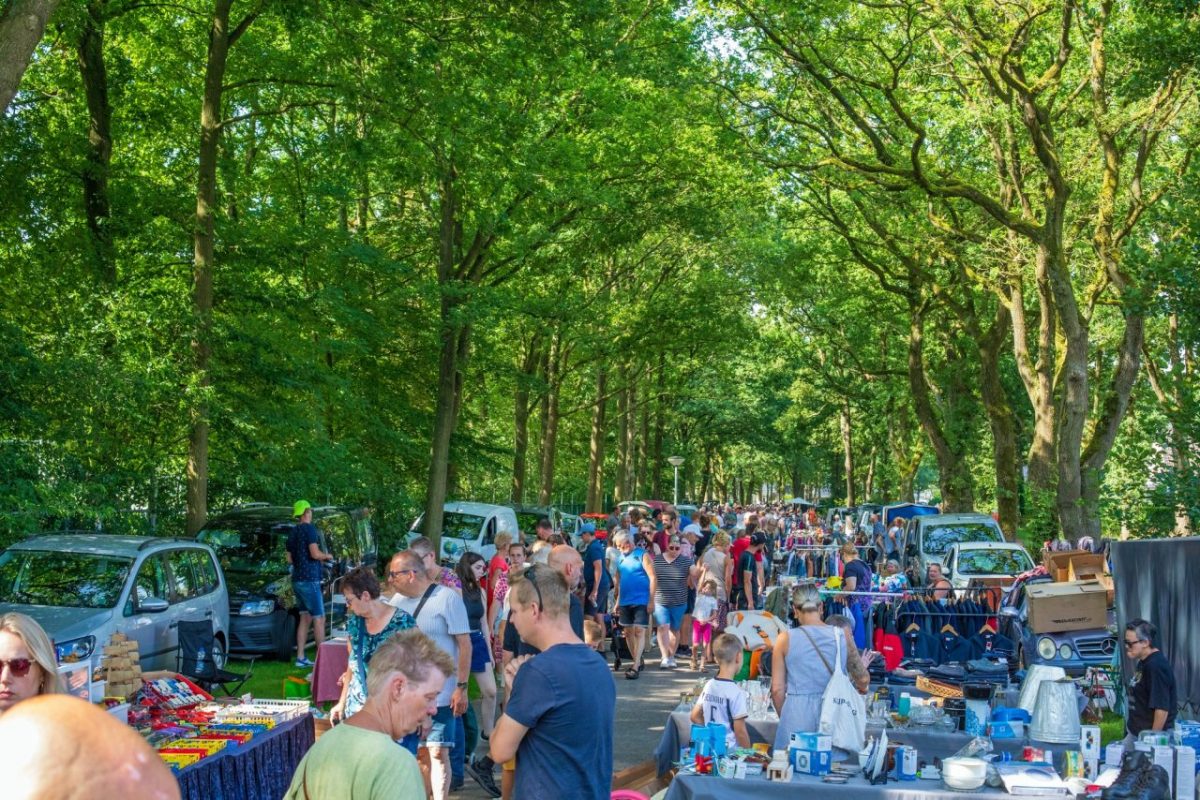 Het laantje naar het dorp tijdens de vlooienmarkt