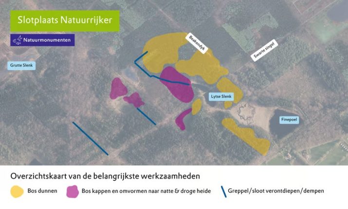 Werkzaamheden bos Slotplaats van start