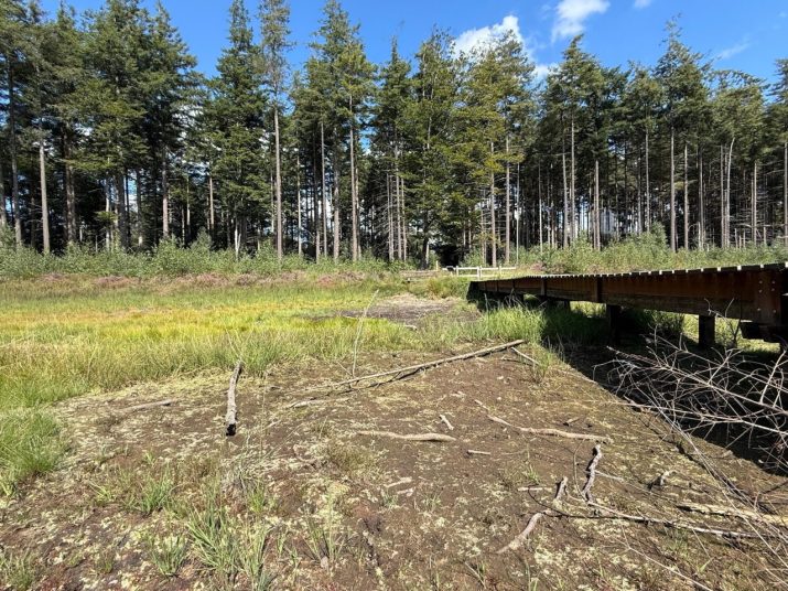 Werkzaamheden bos Slotplaats van start