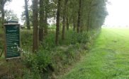 Landweer