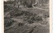 Schuur van Wiering
