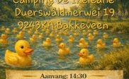 Ikeleane: badeendjesrace op zondag 26 juli