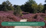 Duindienst