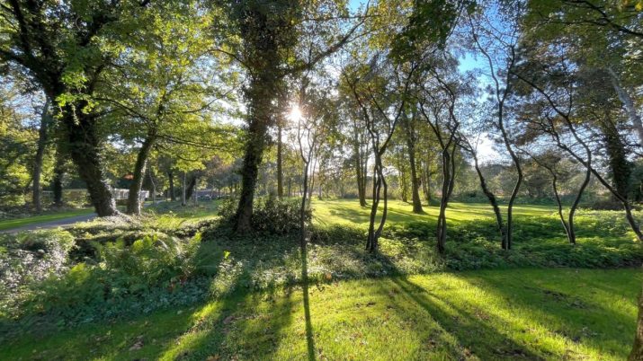 Gezocht: Iemand die graag ons landgoed maait