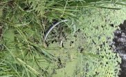 Fiets in de vaart