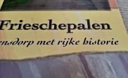 Boek Friesche Palen van Willem Dolstra kopen
