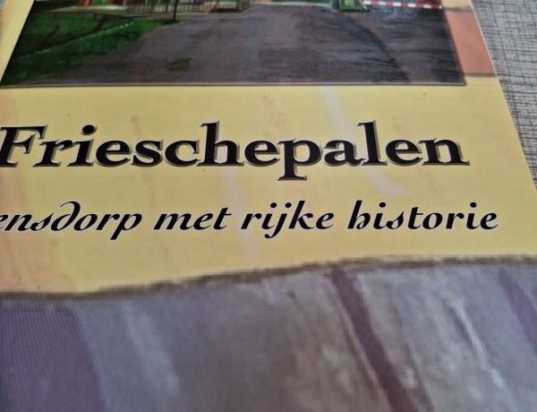 Boek Friesche Palen van Willem Dolstra kopen