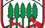 Damesvoetbalteam zoekt nieuwe speelsters!