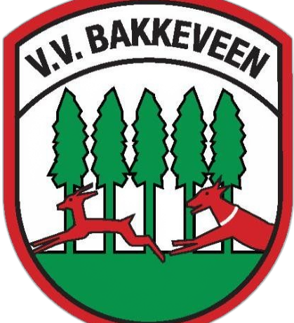 Damesvoetbalteam zoekt nieuwe speelsters!