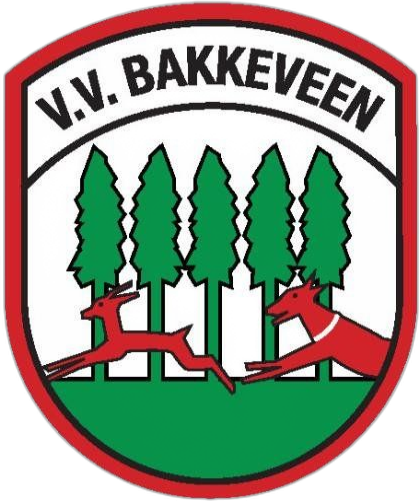Damesvoetbalteam zoekt nieuwe speelsters!