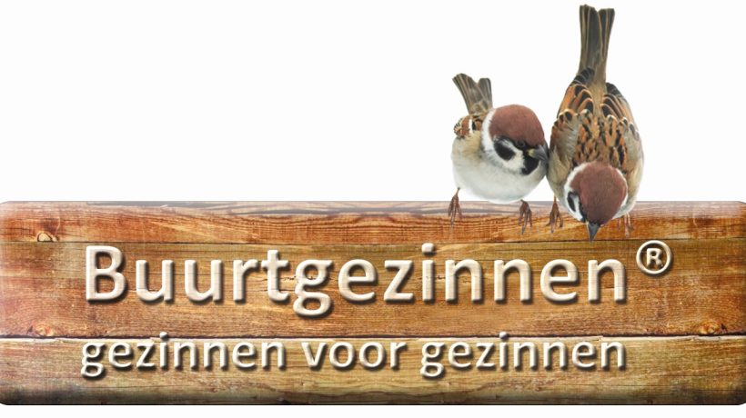Buurtgezinnen: Tegearre is net allinnich