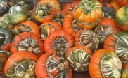 Pompoenmarkt: Pompoenen en herfstgezelligheid