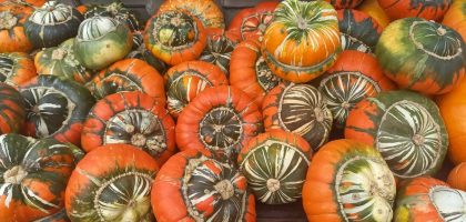 Pompoenmarkt: Pompoenen en herfstgezelligheid