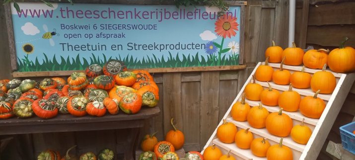 Pompoenmarkt: Pompoenen en herfstgezelligheid