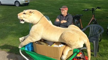 Impressie vlooienmarkt 3 oktober