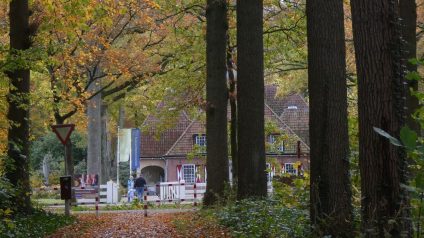 Help de heide open te houden