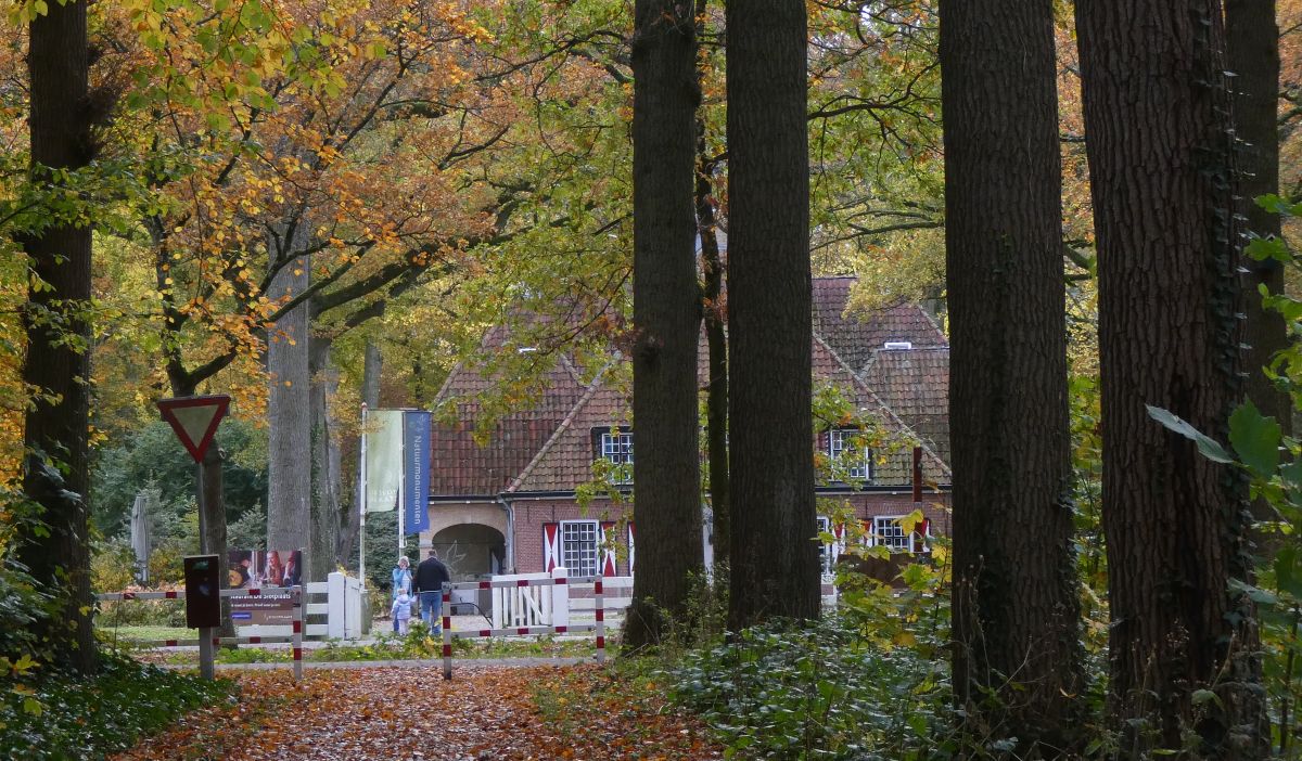 Help de heide open te houden